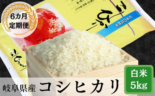 
            ≪令和7年産≫【6か月定期便】【新米】 岐阜 コシヒカリ 5kg
          