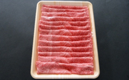 【６ヶ月定期便】A5等級飛騨牛 赤身肉 すき焼き・しゃぶしゃぶ用 500ｇ モモ又はカタ肉 2025/9/19～
