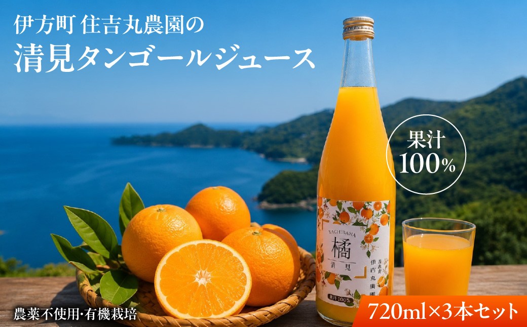 
                  清見タンゴールジュース 720ml×3本  【ふるさと納税 人気 おすすめ ランキング 清見タンゴール ジュース みかん  ミカン オレンジ　無農薬　有機栽培　佐田岬半島　農家直送　住吉丸農園  愛媛県 伊方町 送料無料】 IKTBN008
                