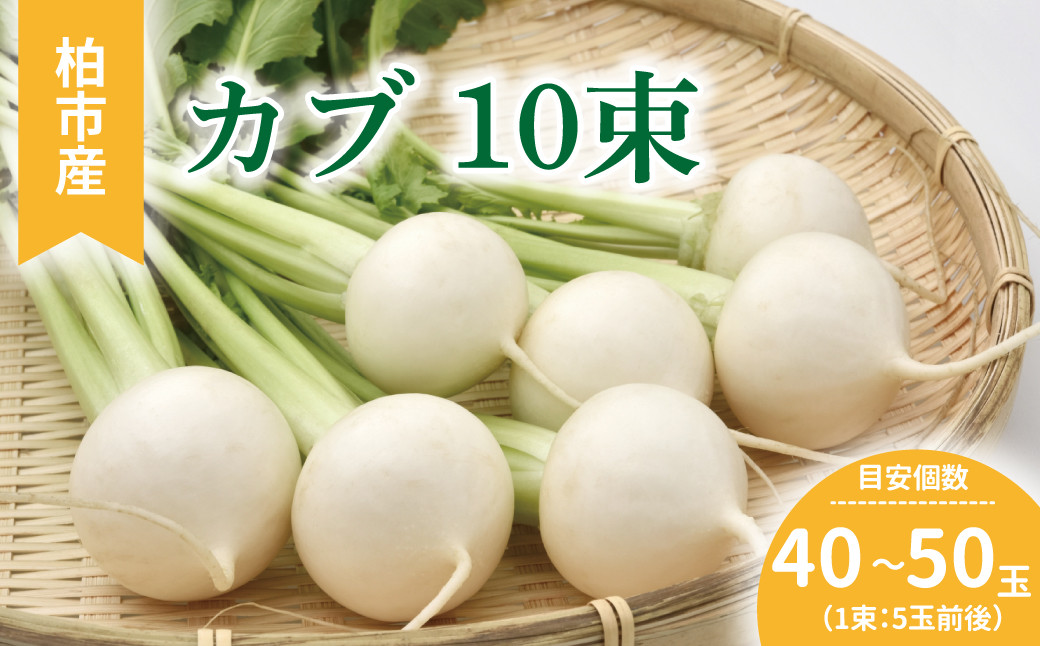 
柏市産　カブ　10束
