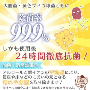 ＧＮ超厚流せるトイレクリーナー大判（１２枚×２パック）×40袋