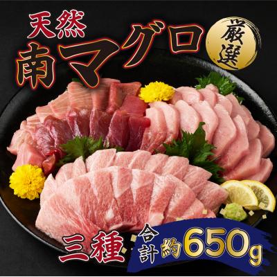 ふるさと納税 室戸市 厳選天然南マグロセット