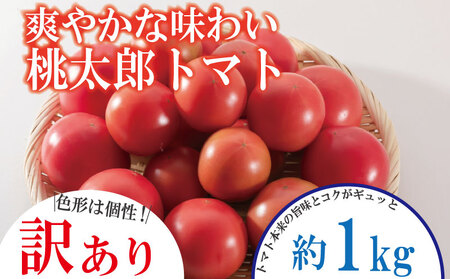 【訳あり】【2026年3月発送】 桃太郎トマト 約1kg 桃太郎 先行予約 甘い 野菜 やさい 国産 産地直送  トマト トマト トマト トマト 生野菜 新鮮 ソース ケチャップ サラダ  グルメ おすすめ 人気 徳島県 小松島市