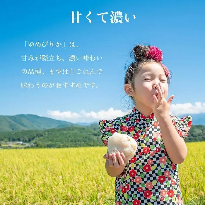 【先行予約】【令和8年産・無洗米・真空パック・特別栽培】 あさひかわ産 ゆめぴりか 2kg×3袋 定期便2ヶ月（2026年12月から発送開始）_03133