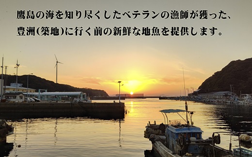 【長崎県松浦市ペア宿泊券】獲れたてで鮮度抜群の海の幸が堪能できる　旅亭 吉乃やの1泊2食付き宿泊券(トラフグづくしプラン)【K00-006】 宿泊券 トラベル 旅行 チケット クーポン 1泊2食 とら