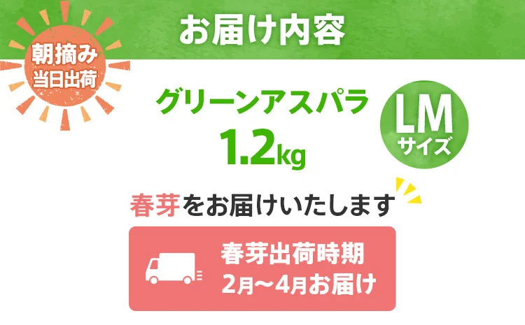 数量限定 先行予約 アスパラガス 春芽 LM 1.2kg 【2月～4月お届け】｜朝採り 朝採れ 直送 グリーンアスパラガス アスパラ