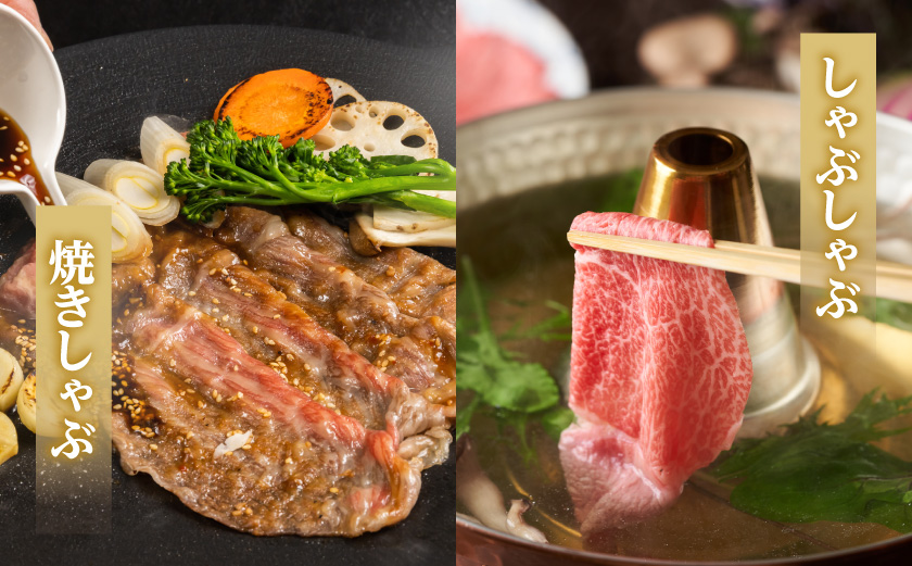 生産農家応援!宮崎牛ロース&赤身スライス1.2kg_19-26-003-1200g