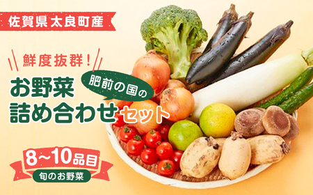 L-37 鮮度抜群！肥前の国のお野菜詰め合わせセット（8～10品目）　野菜 詰め合わせ 野菜セット 野菜詰め合わせ 旬野菜 採れたて 新鮮野菜 常備菜 国産 佐賀県産 太良町 こだわり 産地直送