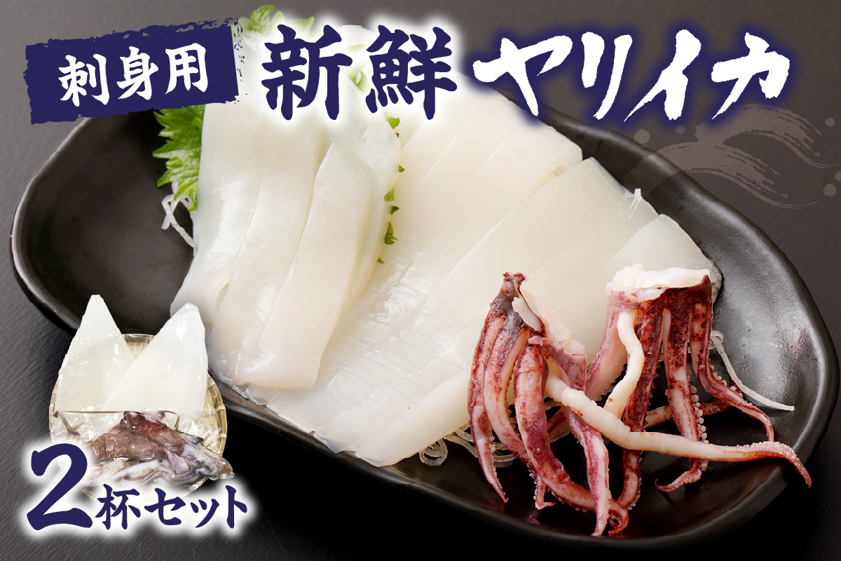 刺身用　新鮮ヤリイカ2杯セット(宗像鐘崎産)【マルケイ水産】_HA0416