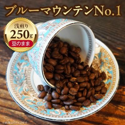ふるさと納税 小牧市 ブルーマウンテンNo.1(豆のまま)