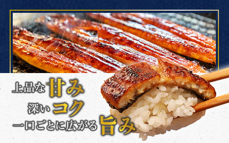 浜名湖産 うなぎ蒲焼き 特製タレ付き 1尾