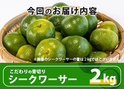 《2024年6月下旬～発送》【先行予約】こだわりの青切りシークワーサー 2kg 約40〜60個 TF-8