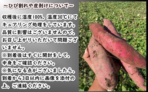 8-005-002　さつまいも（紅はるか）2kg【マルゼン佐藤果樹園
