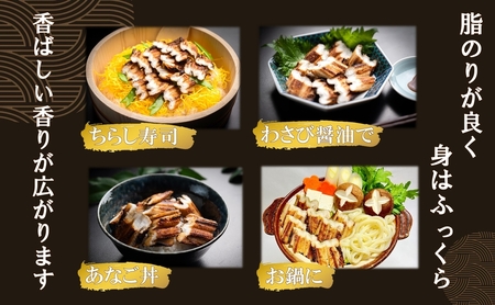 職人の技 明石名物 たっぷり 工場直送 職人の技 明石名物