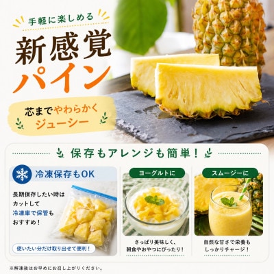 【2026年5月中旬から順次発送】今帰仁村パイン産地協議会 ポコットパイン2.4kg(3～5玉)【配送不可地域：離島】