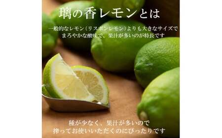 【先行予約】璃の香レモン　約1.5kg　（4?6個）訳ありご家庭用　〈2026年8月下旬?9月下旬頃発送〉  / 果物　柑橘　フルーツ　レモン　高知県土佐市　お取り寄せ 産地直送　おいしい 美味しい　
