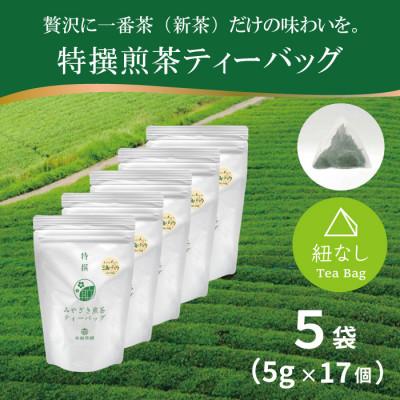 ふるさと納税 日向市 特撰みやざき煎茶ティーバッグ　5袋