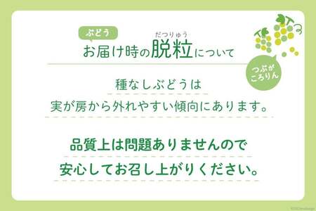 【期間限定発送】 シャインマスカット 予約 2房 約1.2kg 産直 ぶどう