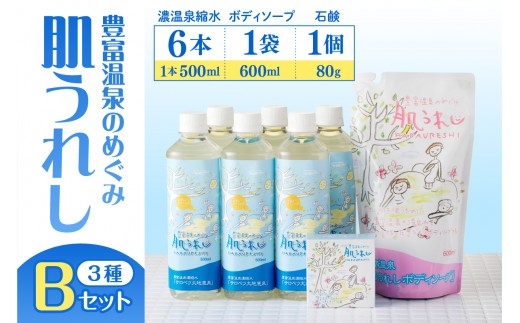 
                  豊富温泉 濃縮温泉水サロベツ大地恵泉 (500ml×6本) ＋ ボディソープ (600ml×1個) ＋ 石けん(約80g×1個) セット（ 濃縮温泉水 濃縮 温泉水 スキンケア 入浴剤 ボディウォッシュ 石鹸 ソープ 保湿 クリーム 高保湿 敏感肌 常温 北海道 豊富町 ）
                