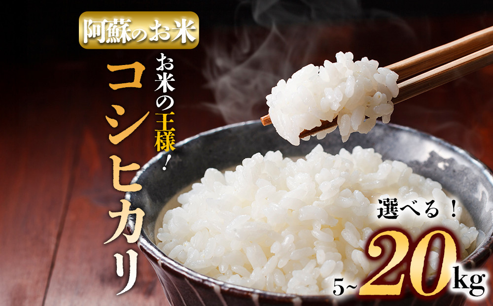 
            【選べる内容量】阿蘇の美味しいお米をお届け！5kg・10kg・15kg・20kg コシヒカリ 農家指定無 令和6年産 お米 米 コシヒカリ 精米 白米  ふるさと納税 おすすめ 令和6年度 5kg 10kg 15kg 20kg  阿蘇米 阿蘇のお米 ご飯 ごはん 美味しい 寒暖差 湧き水 お取り寄せ 食卓 豪華 贅沢 自然 湧水 熊本県 阿蘇市
          