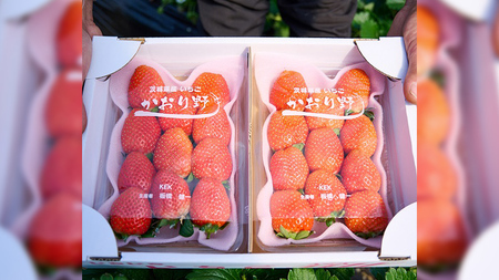 【12/17までの申込で年内にお届け！】 完熟 かおり野 約260g×4パック 年内お届け 国産 いちご イチゴ 苺 果物 フルーツ 茨城県産 KEK[BC082sa]