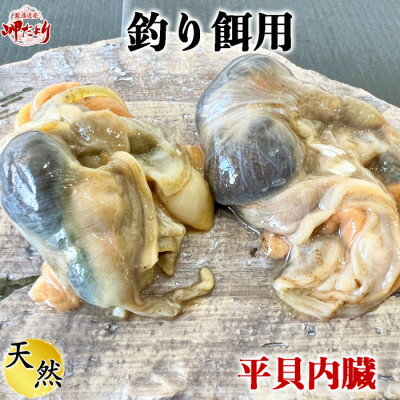 【ふるさと納税】 岬だよりの平貝内臓 釣り餌用8袋セット【配送不可地域：北海道・沖縄・離島】