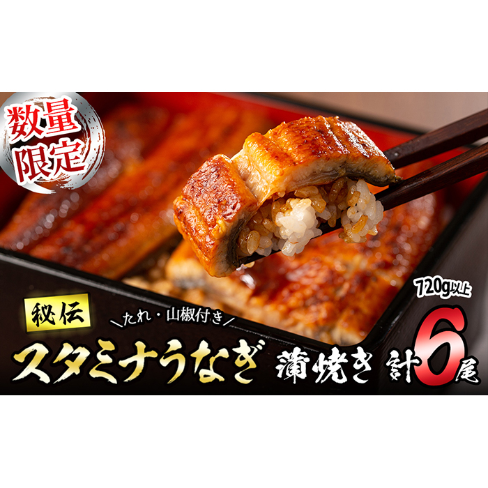 【数量限定】鹿児島県産！秘伝のスタミナうなぎ蒲焼き＜計6尾・計720g以上＞c9-008
