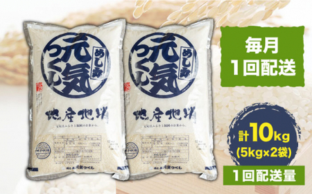 【全3回定期便】元気つくし 米 10kg 5kg×2袋＜南国フルーツ株式会社＞那珂川市 定期便 米 お米 精米 白米  54000 54000円 [GCD034]