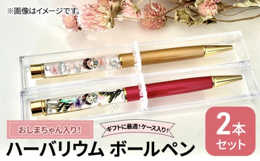 [№5695-1561]おしまちゃん入りハーバリウム ボールペン2本セット ケース入り！　ハンドメイド 雑貨 ギフト プレゼント