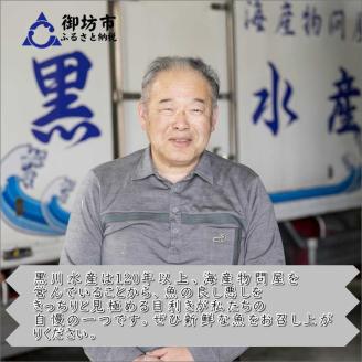 【8002-2】御坊産鮮魚セット 5kg 【定期便】(年4回お届け)【配送不可地域】沖縄・北海道・東北・九州