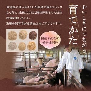 山形の極み 平田牧場 金華豚 ロースカツ用 F2Y-0326