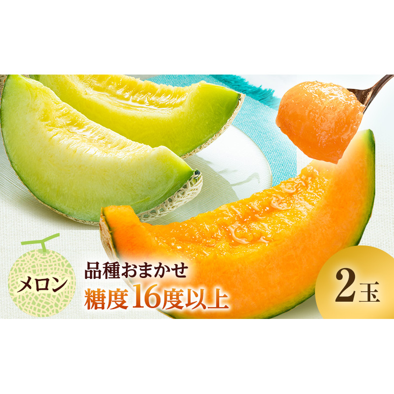 メロン 先行 予約 青森 減農薬栽培メロン 2玉 糖度16度以上保証 減農薬 青肉 赤肉 青肉メロン 赤肉メロン フルーツ 果物 旬のフルーツ 旬の果物 旬 夏 レビュー 高評価 先行予約 2025 2025年 青森県