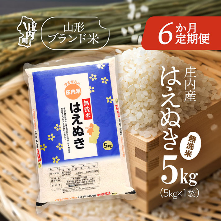 ＜2月中旬発送＞庄内米6か月定期便！はえぬき無洗米 5kg（入金期限：2026.1.25）