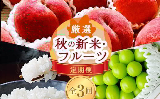 《先行予約 2026年8月発送開始》 山形県の至高！ 山形県厳選 新米・フルーツ定期便 全3回  マスカット ぶどう ブドウ 葡萄 デザート フルーツ 果物 くだもの 果実 食品 山形県 FSY-2454