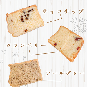 シフォンケーキ クランベリー 12個セット CFS008-2x