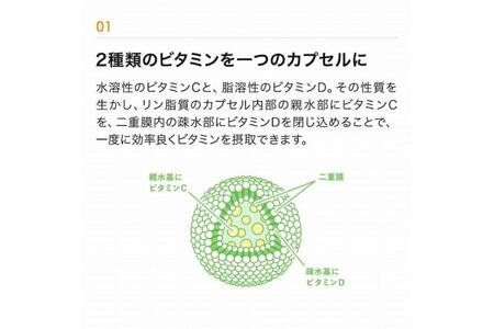 【6ヶ月定期便】【Lypo-C】リポ カプセル ビタミンC＋D（30包入） 1箱