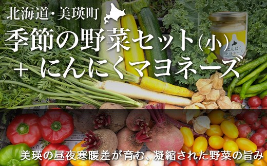あらいふぁーむ 季節の野菜セット【小】＆にんにくマヨネーズ | 野菜 セット 詰め合わせ 旬野菜 美瑛産野菜 無農薬 多品種野菜 北海道 美瑛 美瑛町 北海道産 美瑛産 にんにく ニンニク マヨネーズ 調味料 ガーリック ドレッシング [022-43]