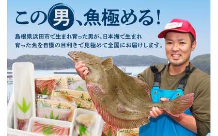 【定期便】どんちっち浜田【極上】の鮮魚 15回～最高級この男シリーズ～ 【006_2053】