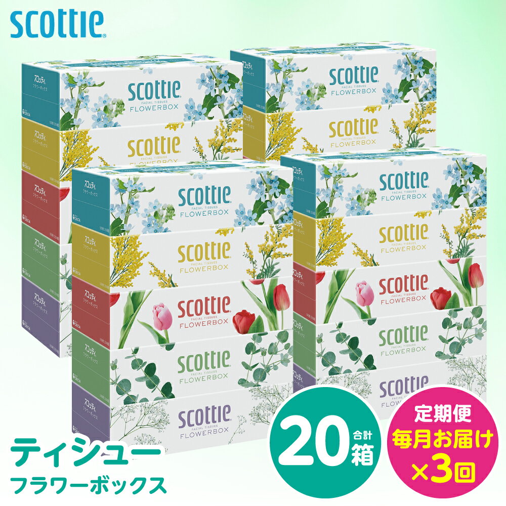 【ふるさと納税】【定期便3回】【毎月お届け】【スコッティ】 ティシュー フラワーボックス 250組 20箱 計60箱 ティッシュ 日用品 生活必需品 消耗品 紙 まとめ買い 備蓄 防災備蓄 デザインボックス ストック 新生活 防災 生活用品 日用消耗品 箱ティッシュ 送料無料