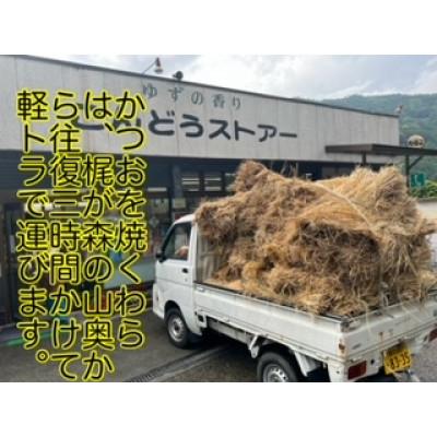 ふるさと納税 南国市 モチモチ食感!ビリかつおわら焼きたたき250g×2節(タレ・ニンニク付) |  | 01