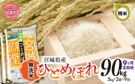 【新米予約】宮城県産ひとめぼれ 無洗米 10kg×9回定期便 ひとめぼれ