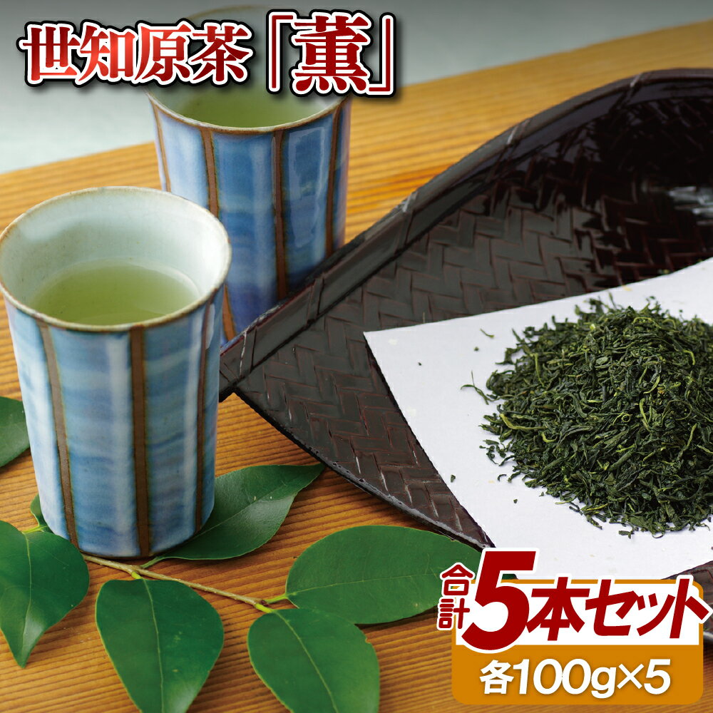 【ふるさと納税】世知原茶「薫」5本セット