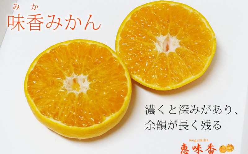 【早期受付】佐賀みかん みかん 味香みかん 3kg 新品種 果皮も美味しく食べられる！フルーツ ※配送不可：離島