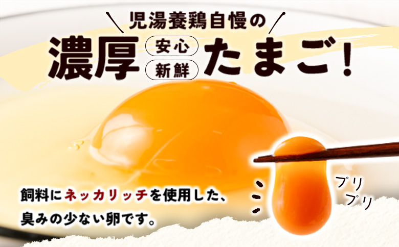 ＜配送開始月が選べる!!＞児湯養鶏自慢の卵 ネッカリッチ赤たまご「児湯一番」 計480個 （20個入×2箱）×12か月定期便 ※2026年1月配送開始【E19-2601】 2026年1月配送開始