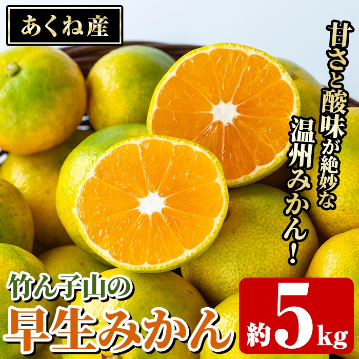 ＜先行予約受付中！2025年9月下旬以降順次発送予定＞数量限定！竹ん子山の早生みかん(約5kg) 国産 鹿児島県産 阿久根産 ミカン 蜜柑 みかん 柑橘 果物 フルーツ 温州みかん 早生みかん 果実 期間限定【竹ん子山】akn097-02
