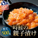 【ふるさと納税】【選べる配送月】知床羅臼産 時鮭（ときしらず）の親子漬け 500g（250g×2パック）小分け いくら イクラ 醤油漬け さけ サケ シャケ しゃけ 海鮮 魚介 魚卵 おつまみ 手巻き寿司 丼 北海道 F21M-961