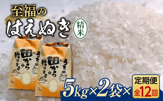 
『定期便』令和5年産米 至福のはえぬき（精米）5kg×2袋 全12回 米 お米 おこめ 山形県 新庄市 F3S-1608
