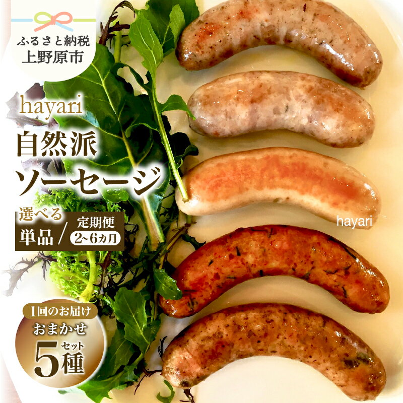 【ふるさと納税】 ソーセージ研究家がおくる自然派ソーセージ 無添加 創作ソーセージ サルシッチャ 自然派 こだわり 多種多様 世界のソーセージ 5種 詰め合わせ 定期便 調理ガイド付 hayari 加工肉 15000円以内 オリジナル 素材 贈答 贈り物 送料無料 山梨県 上野原市