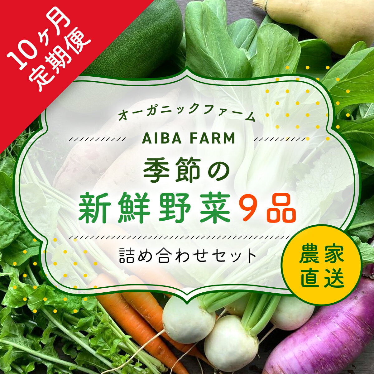 【ふるさと納税】 【10ヶ月 定期便】【栽培期間中農薬不使用】農家直送！季節の新鮮野菜「9品」詰め合わせセット オーガニックファーム AIBA FARM野菜セット 無農薬 野菜 千葉県 富里市 直送野菜 お野菜セット 旬野菜 季節野菜 農家直送 採れたて とれたて やさい TML004