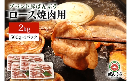 
										
										ブランド豚「ばんぶぅ」ロース焼肉用 2.0kg(500g×4パック)
									